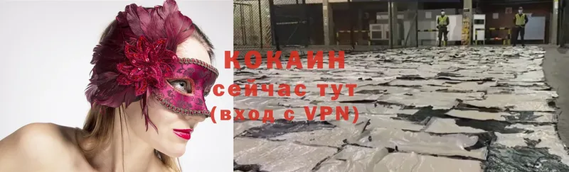 COCAIN Fish Scale  как найти закладки  Нестеровская 